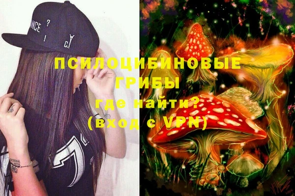 герыч Ладушкин